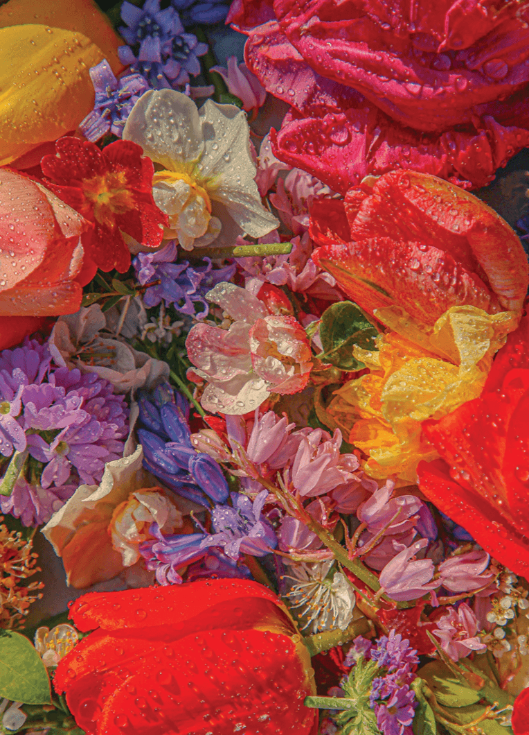 Blossom Puzzle - Media 3